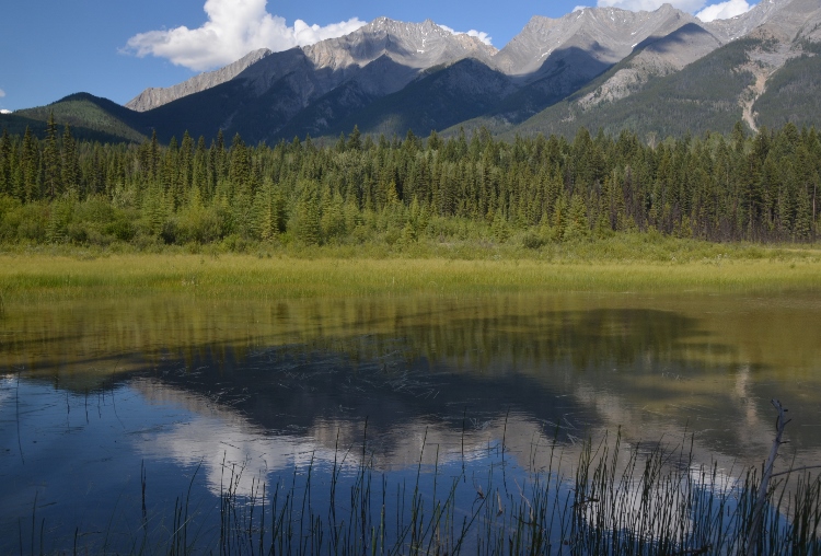 dog lake trail